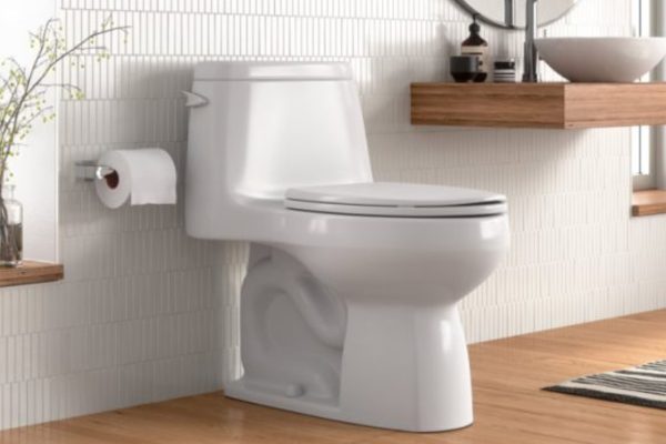 WhatsApp Image 2026-04-08 at 9.45.01 AM